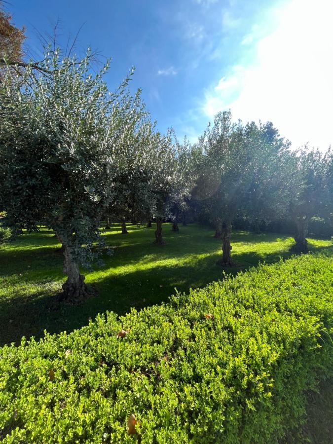 Apartament Il Giardino Di Athena 1 Paestum Zewnętrze zdjęcie
