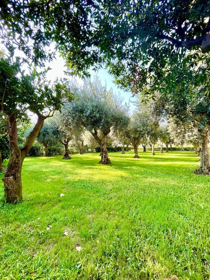 Apartament Il Giardino Di Athena 1 Paestum Zewnętrze zdjęcie
