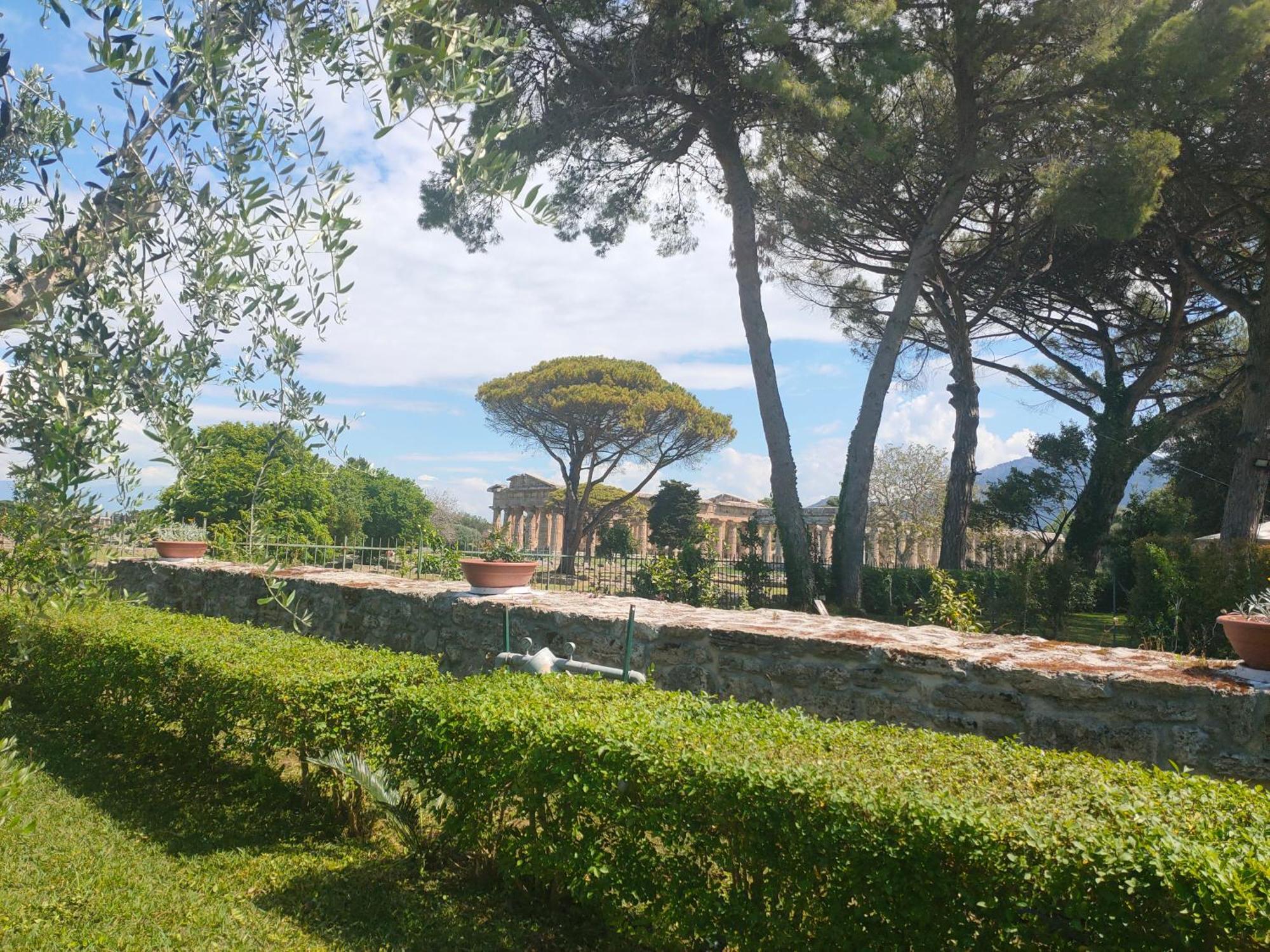 Apartament Il Giardino Di Athena 1 Paestum Zewnętrze zdjęcie