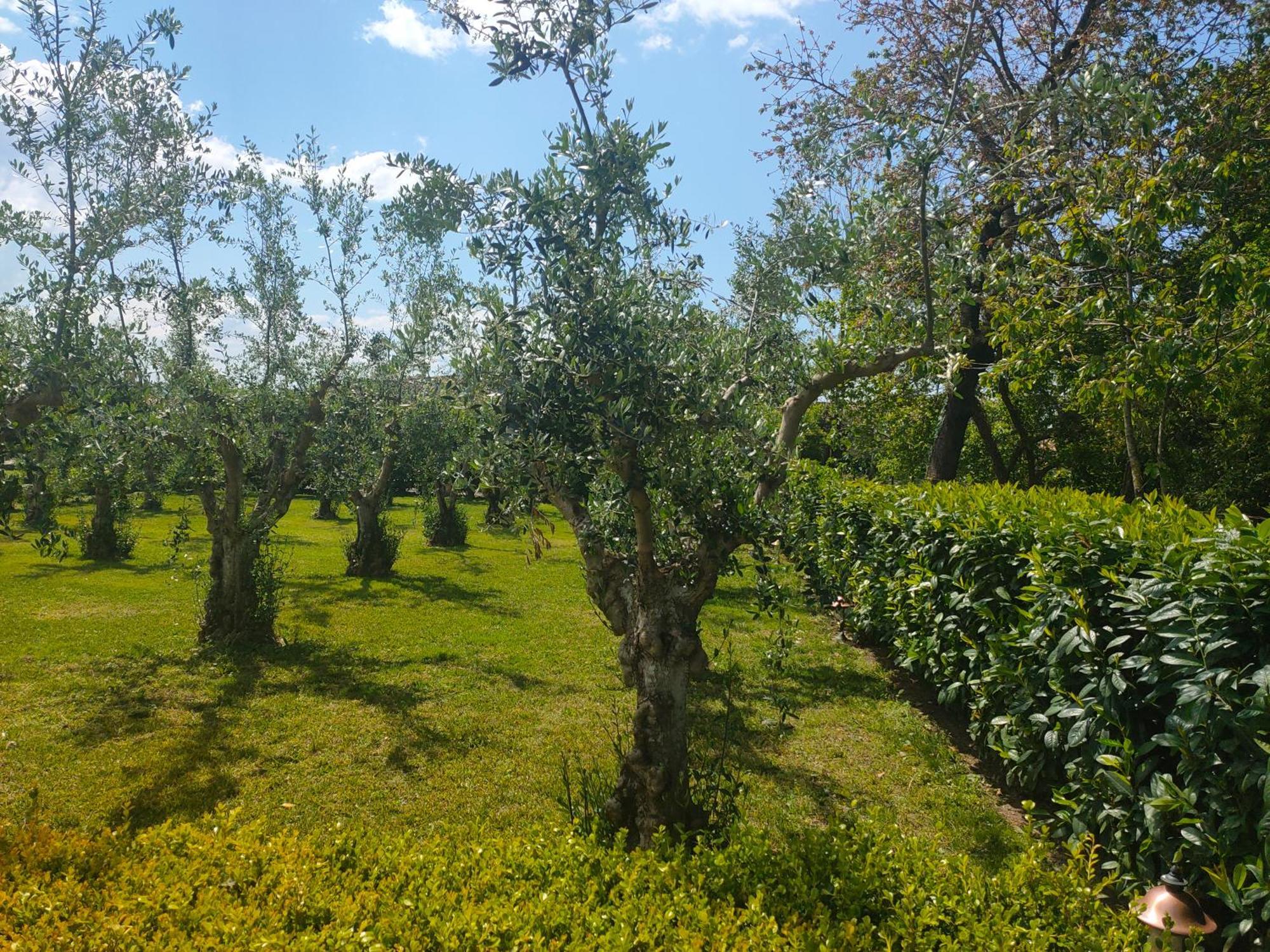 Apartament Il Giardino Di Athena 1 Paestum Zewnętrze zdjęcie