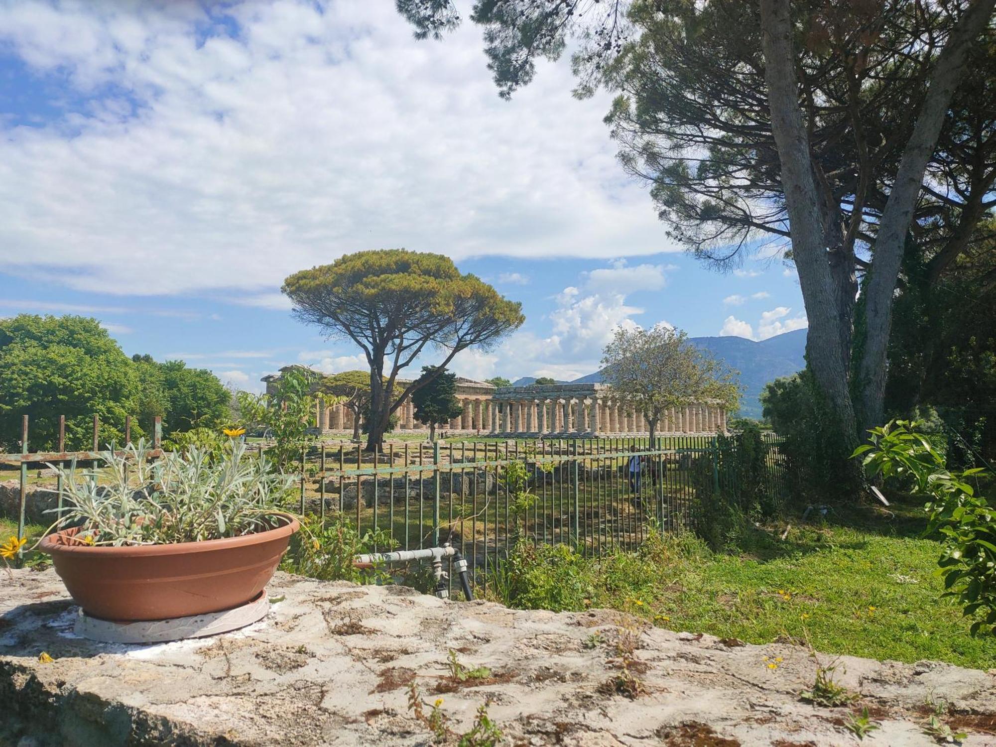 Apartament Il Giardino Di Athena 1 Paestum Pokój zdjęcie