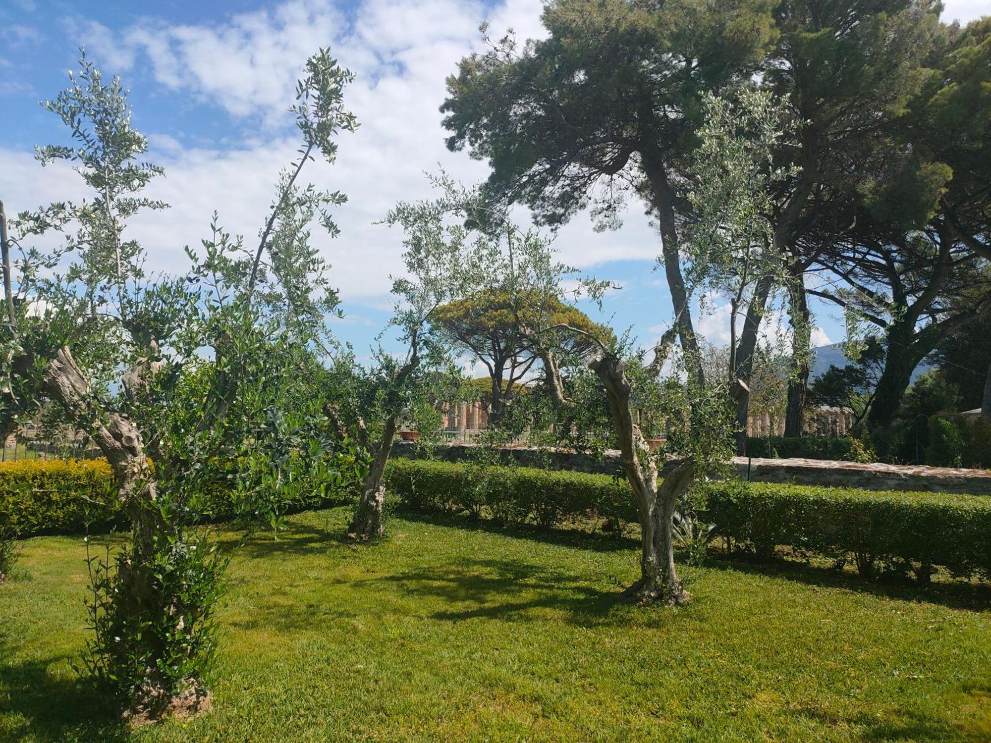 Apartament Il Giardino Di Athena 1 Paestum Zewnętrze zdjęcie
