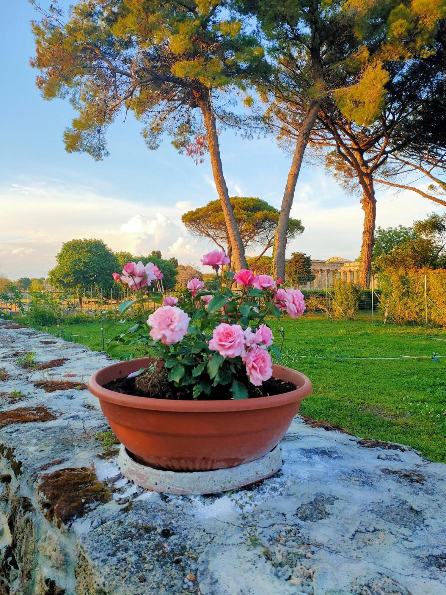 Apartament Il Giardino Di Athena 1 Paestum Zewnętrze zdjęcie