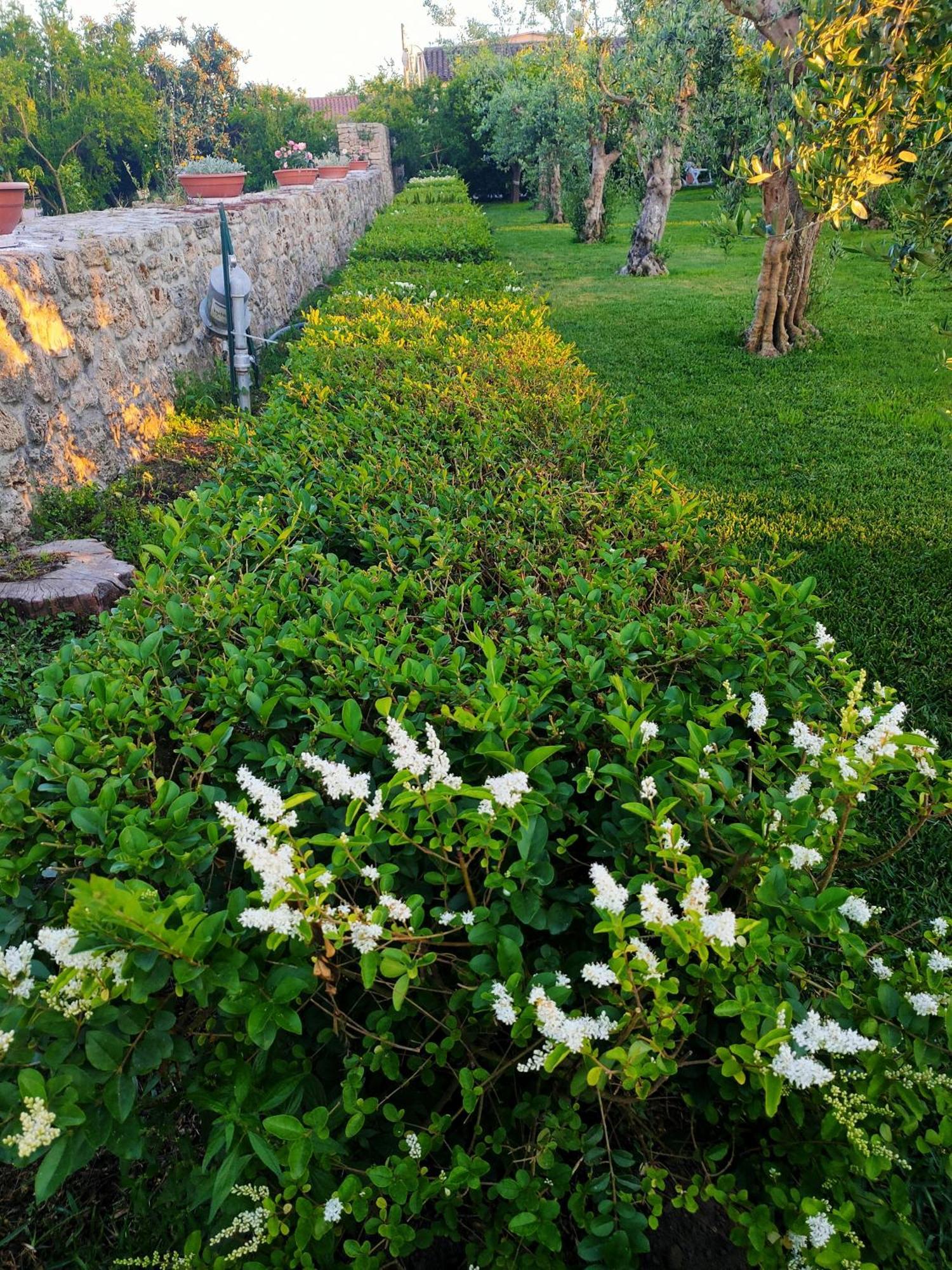 Apartament Il Giardino Di Athena 1 Paestum Zewnętrze zdjęcie